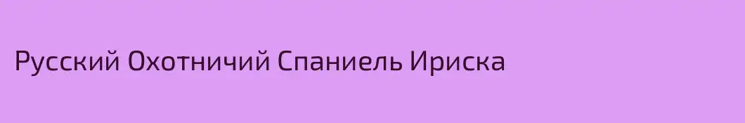 Русский Охотничий Спаниель Ириска